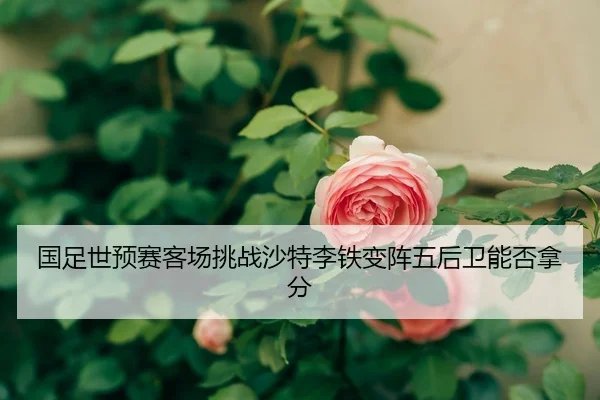 国足世预赛客场挑战沙特李铁变阵五后卫能否拿分