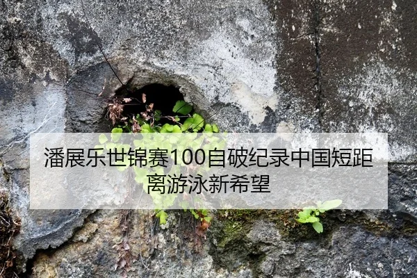 潘展乐世锦赛100自破纪录中国短距离游泳新希望