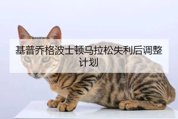 基普乔格波士顿马拉松失利后调整计划