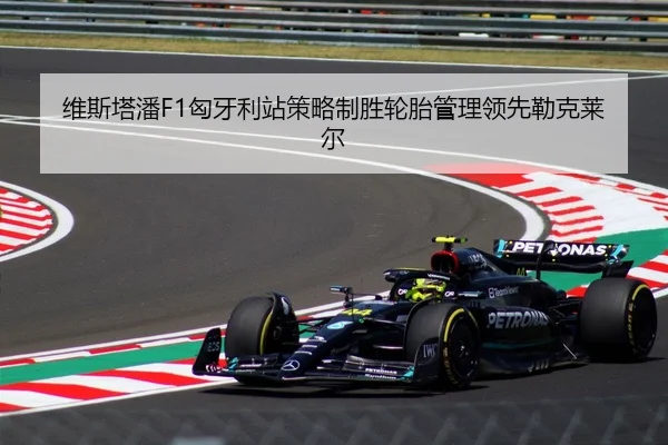 wei-si-ta-pan-xiong-ya-li-zhan-ce-lve-zhi-sheng-lun-tai-guan-li-ling-xian-lei-ke-lai-er-3-271.jpg
