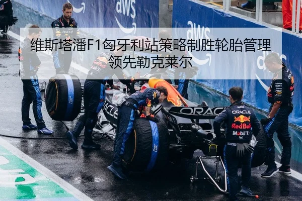 维斯塔潘F1匈牙利站策略制胜轮胎管理领先勒克莱尔