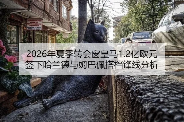 2026年夏季转会窗皇马1.2亿欧元签下哈兰德与姆巴佩搭档锋线分析