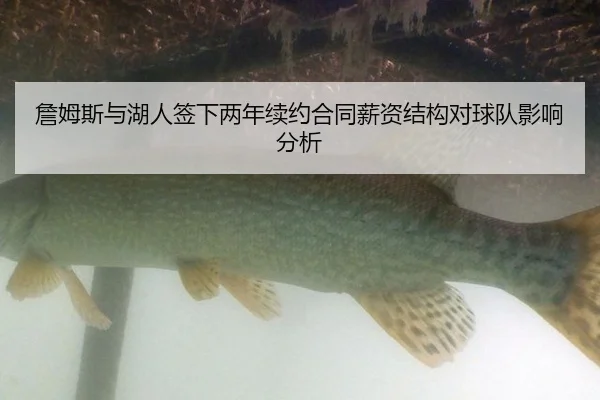 詹姆斯与湖人签下两年续约合同薪资结构对球队影响分析