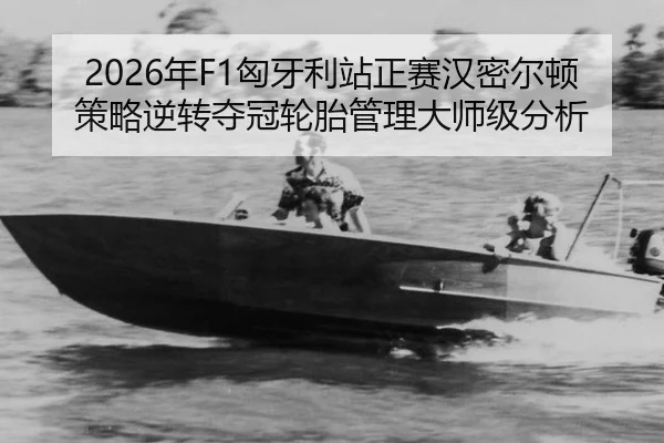 nian-xiong-ya-li-zhan-zheng-sai-han-mi-er-dun-ce-lve-ni-zhuan-duo-guan-lun-tai-guan-li-da-shi-ji-fen-xi-3-144.jpg