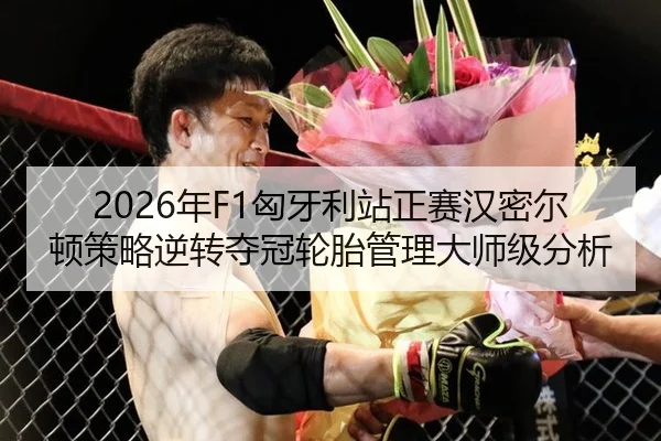 2026年F1匈牙利站正赛汉密尔顿策略逆转夺冠轮胎管理大师级分析